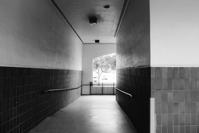 Archillect ID 225157