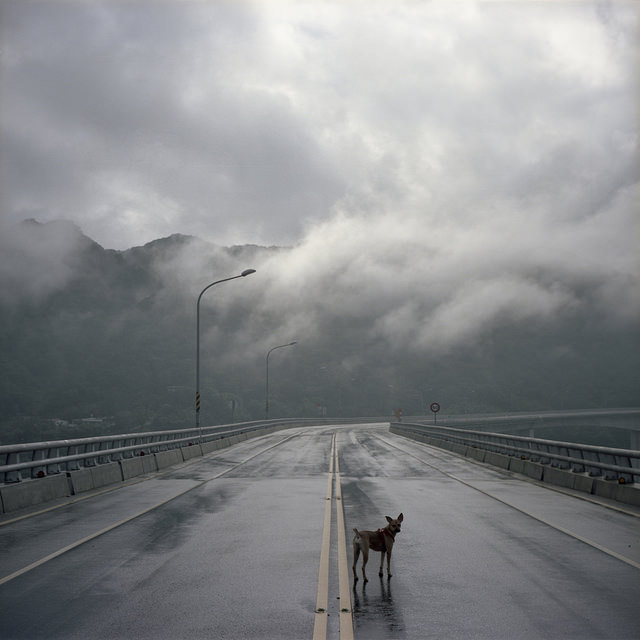 Archillect ID 225224