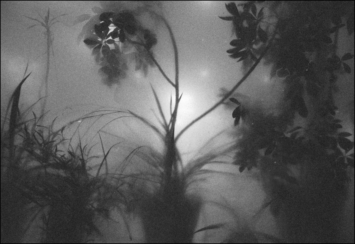 Archillect ID 225523
