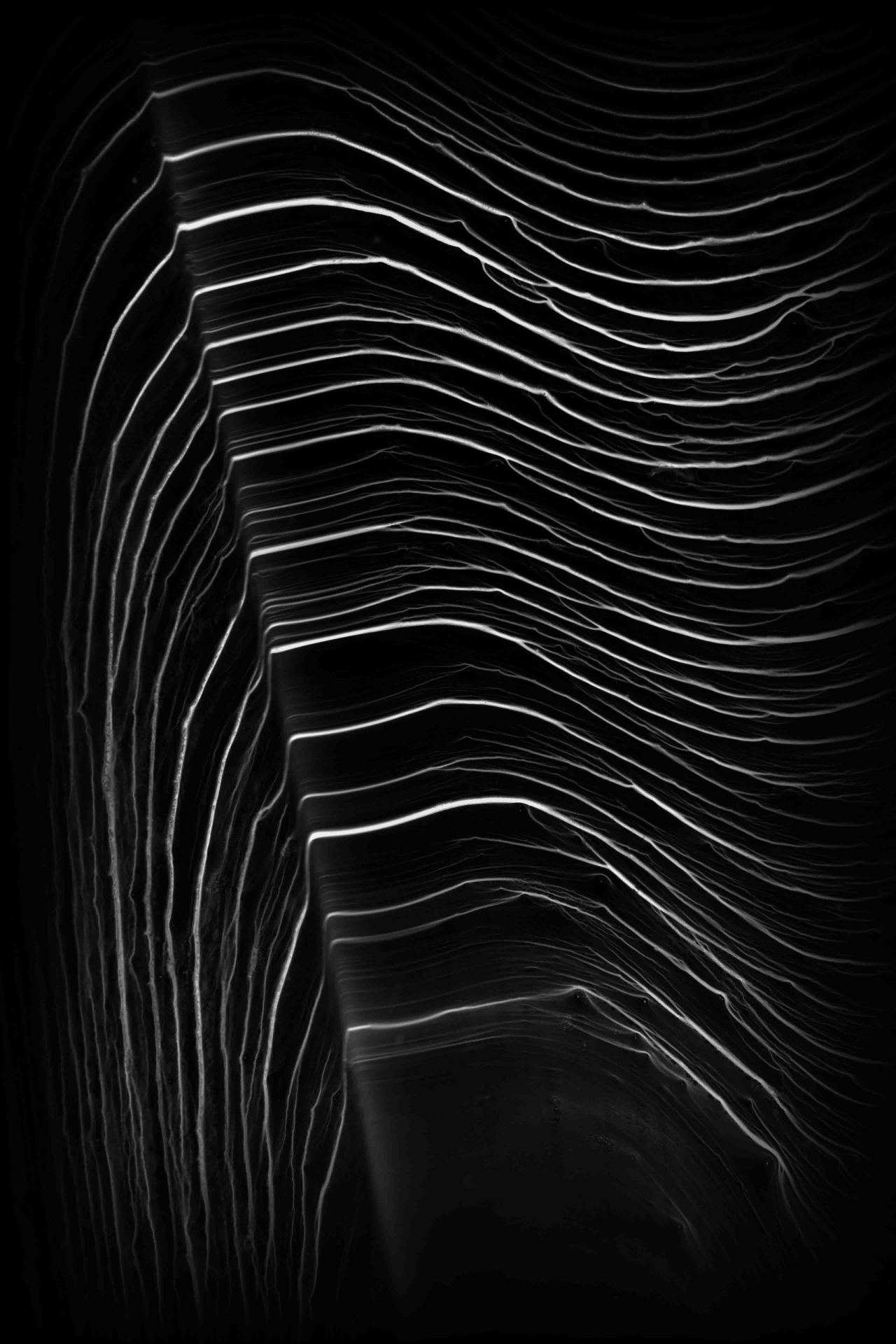 Archillect ID 225524