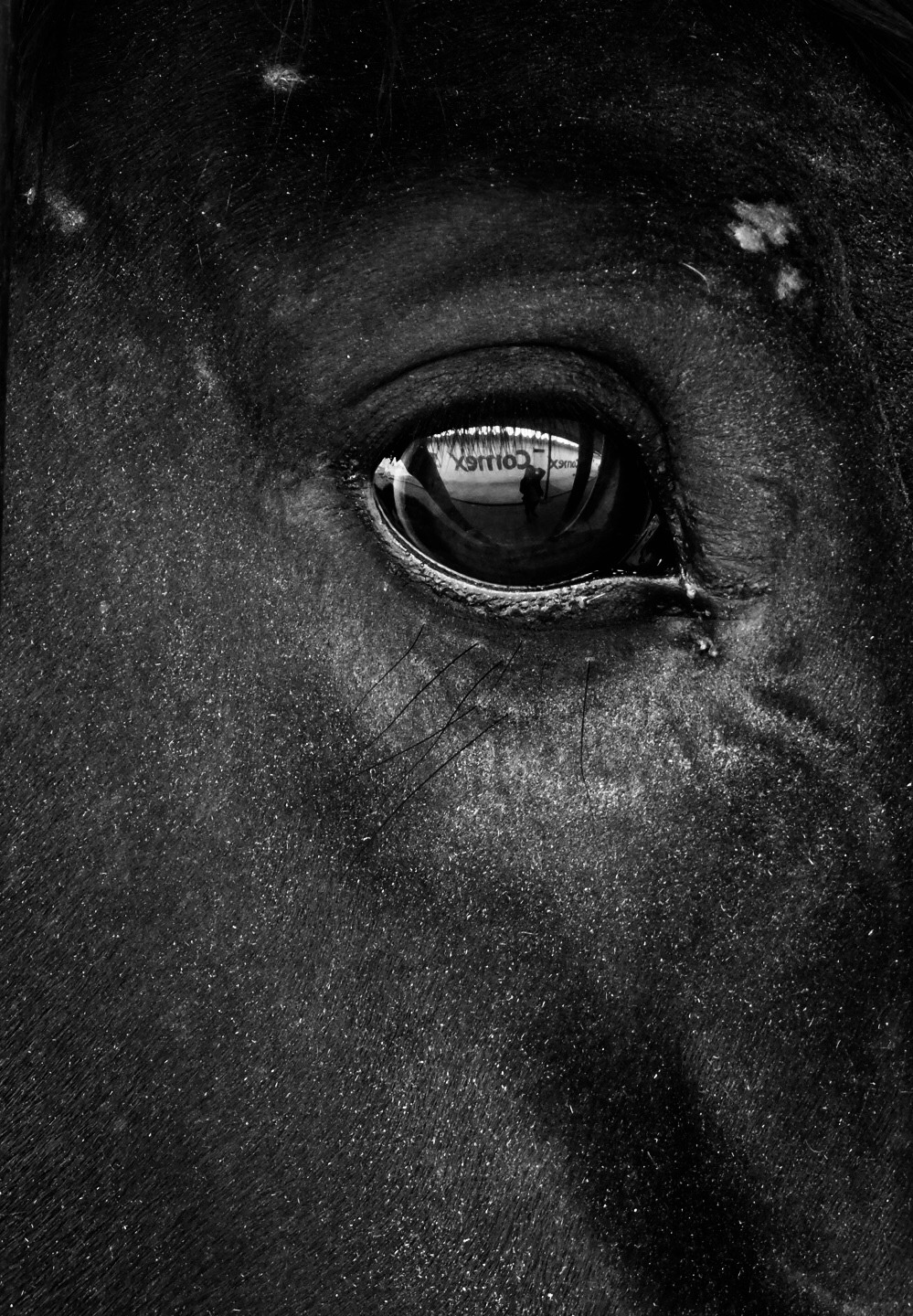 Archillect ID 225535