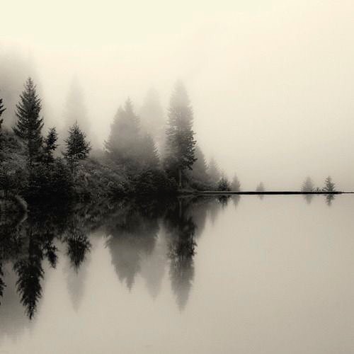 Archillect ID 225542