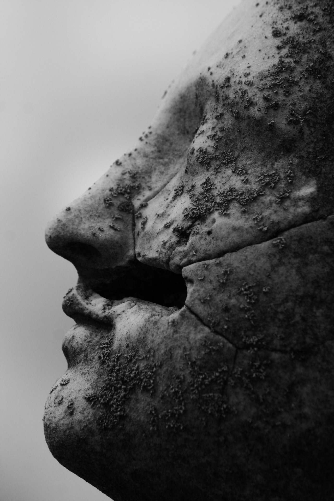 Archillect ID 225667