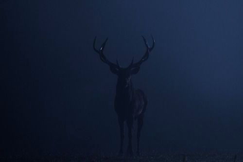 Archillect ID 225918
