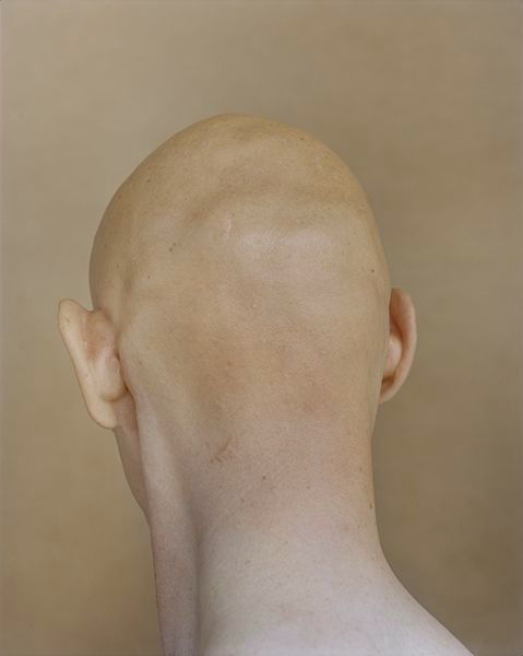 Archillect ID 225987