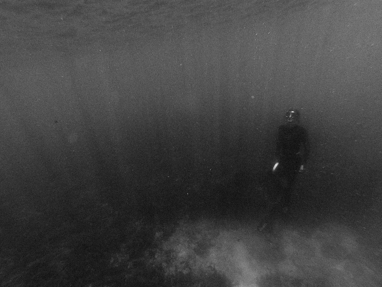 Archillect ID 226336