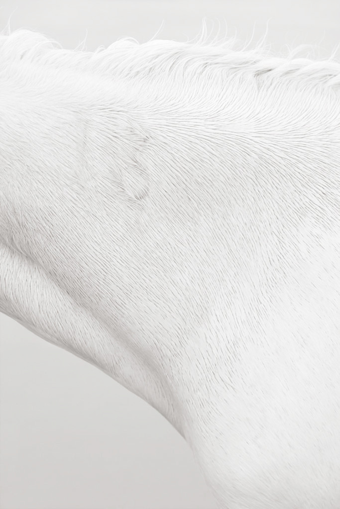 Archillect ID 226346