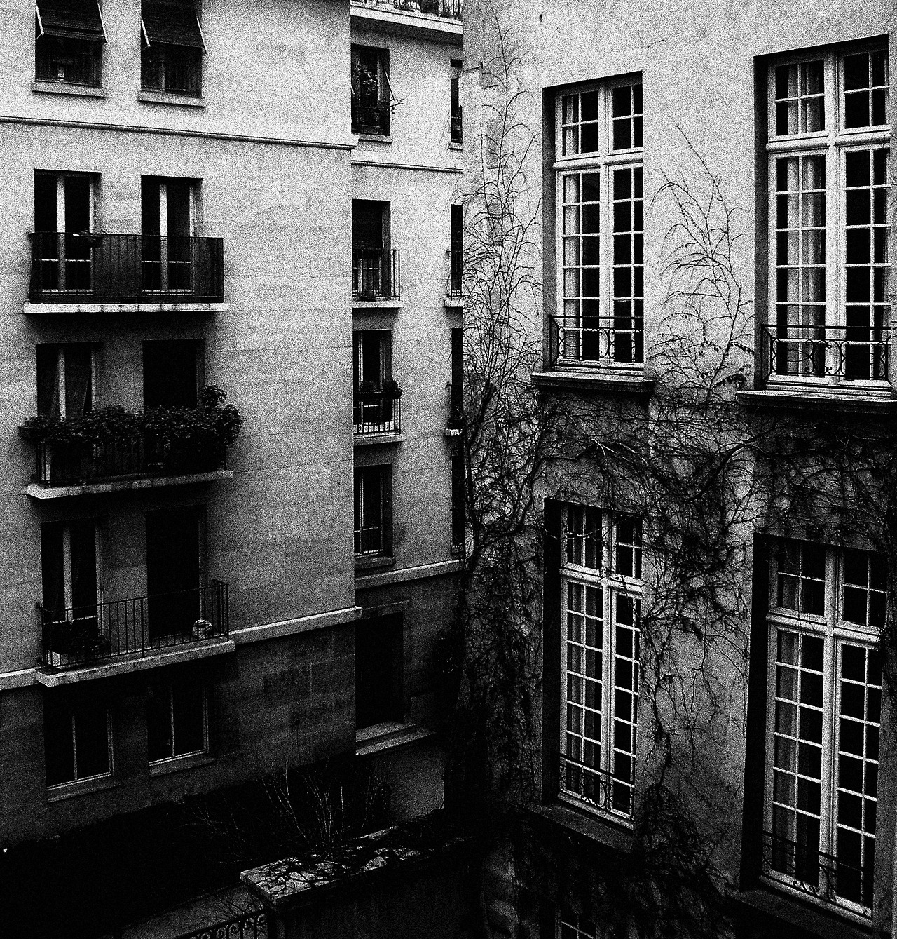 Archillect ID 226404