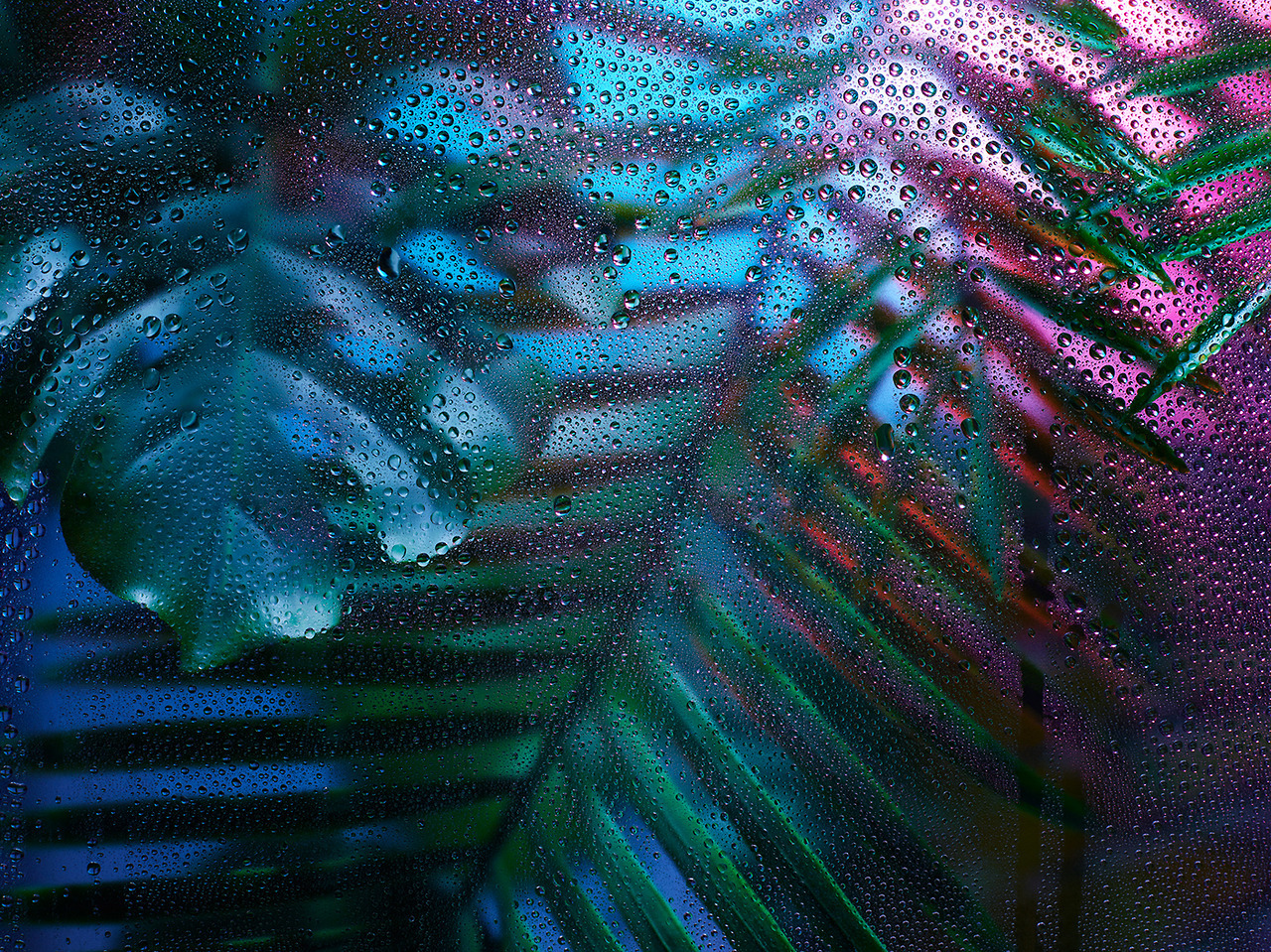 Archillect ID 226422