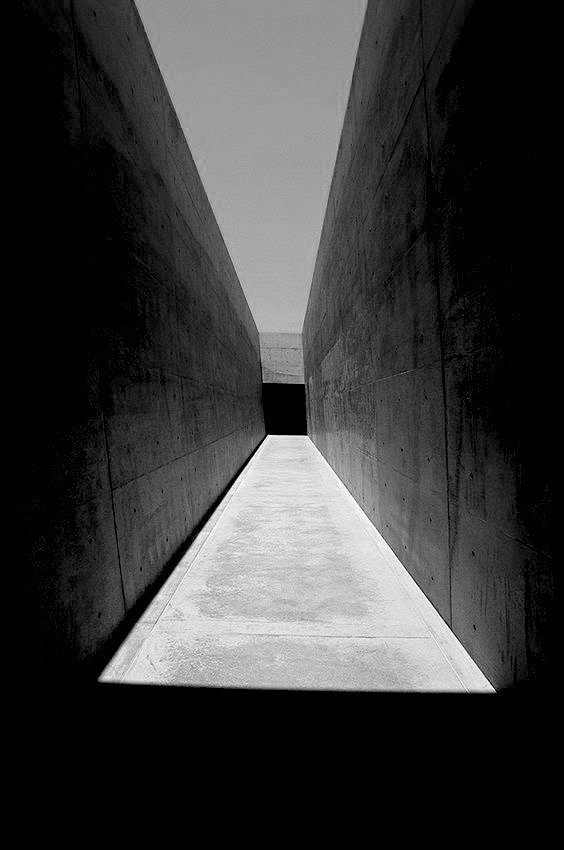 Archillect ID 226557