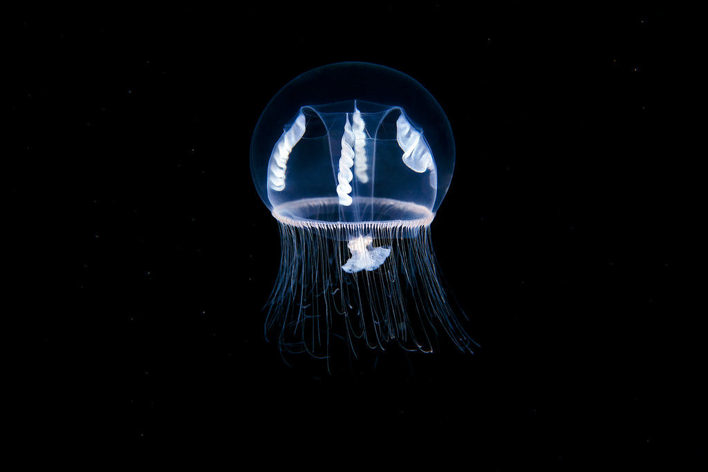 Archillect ID 226578