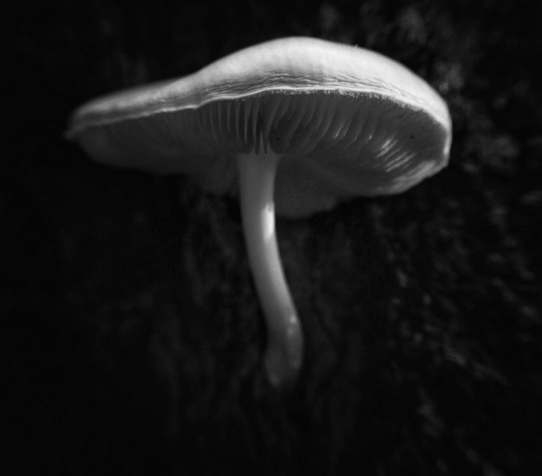 Archillect ID 226920