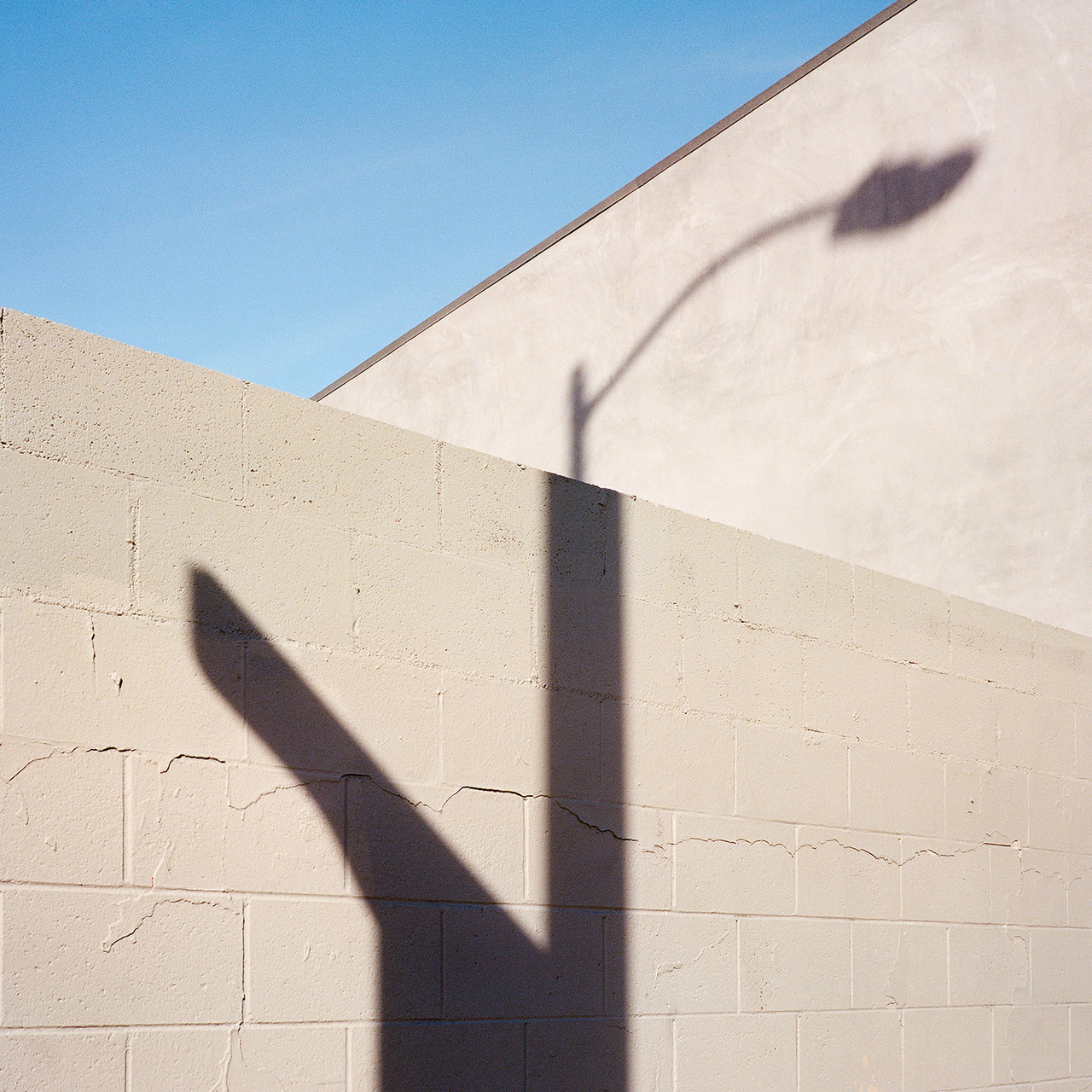 Archillect ID 226940