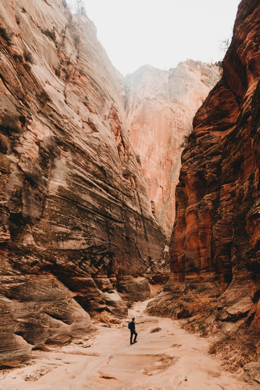 Archillect ID 226979