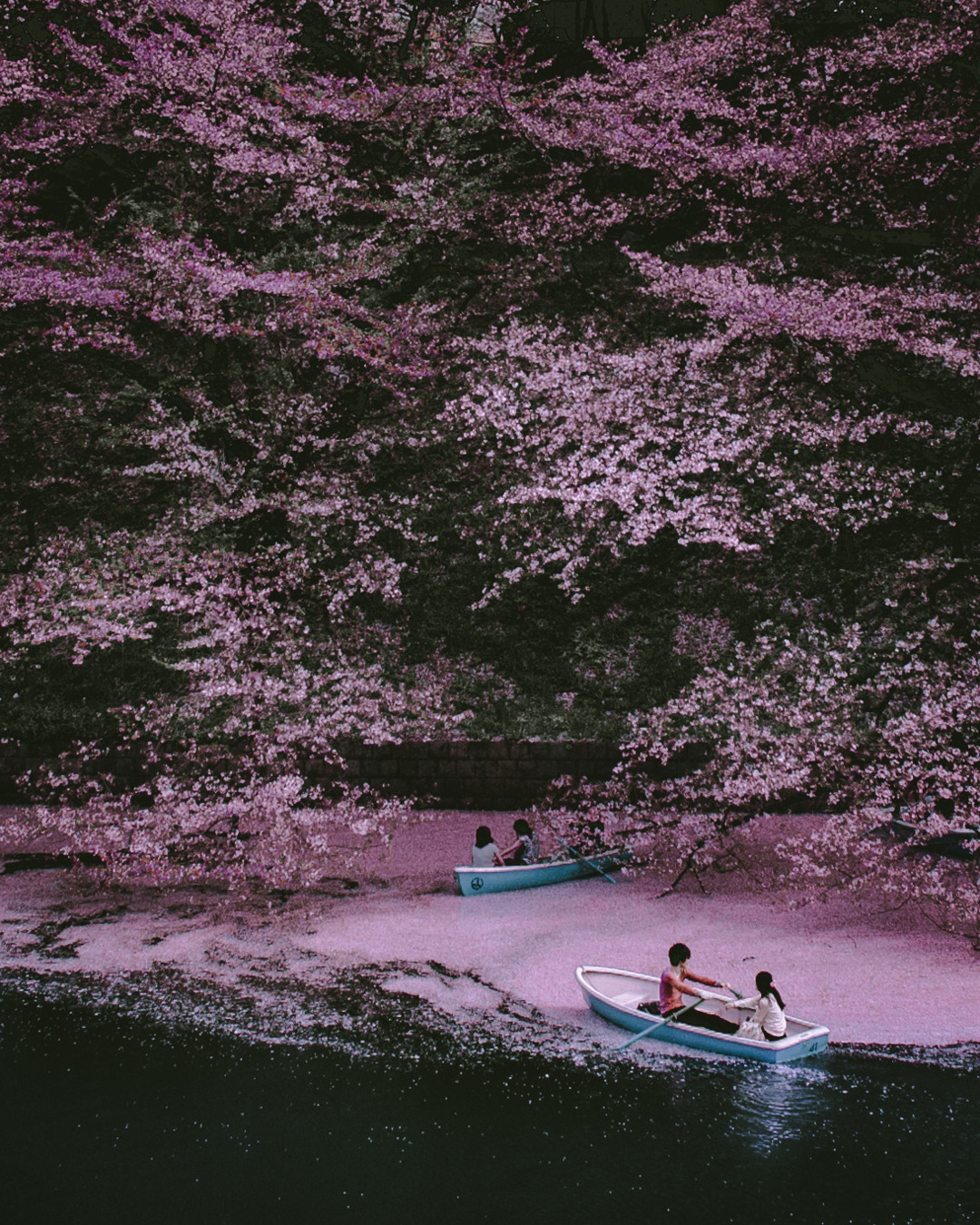 Archillect ID 227184