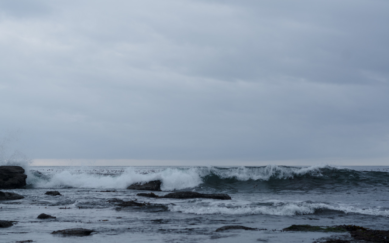 Archillect ID 227254