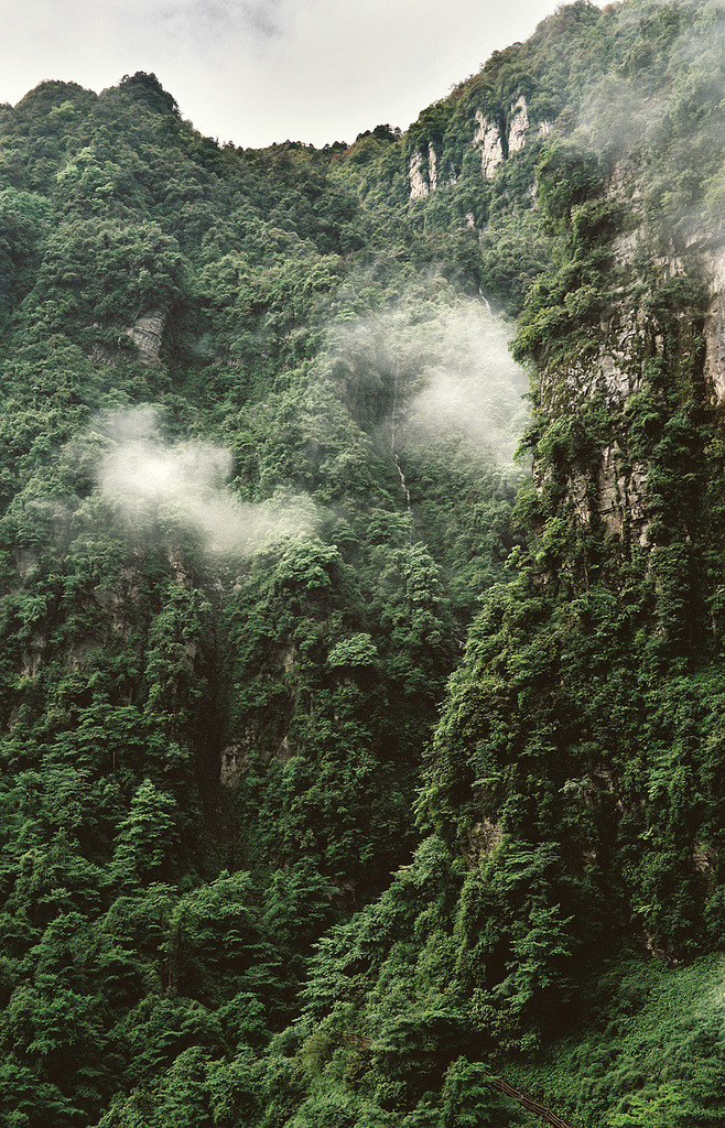Archillect ID 227385