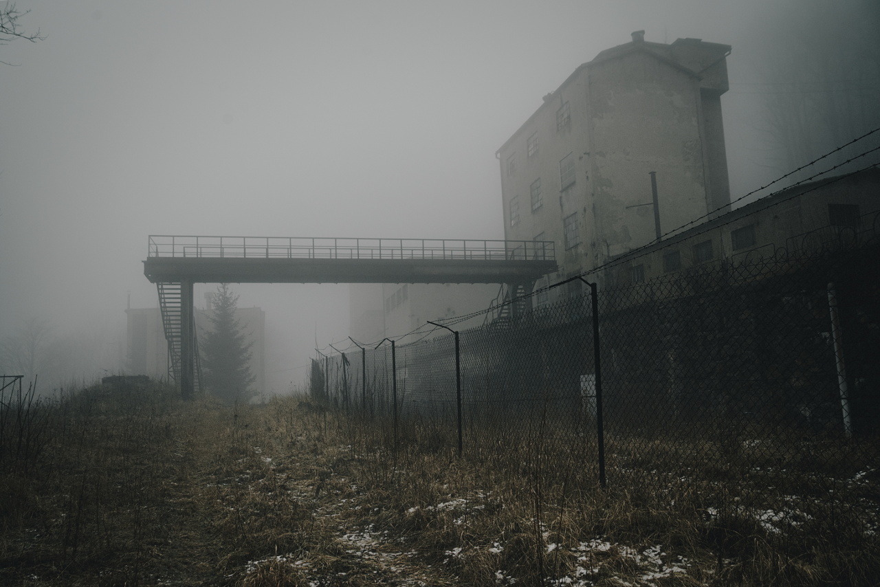 Archillect ID 227432
