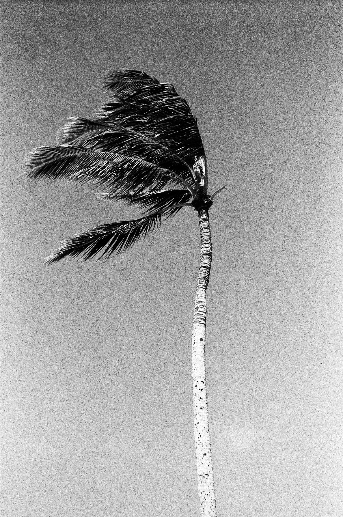 Archillect ID 227464