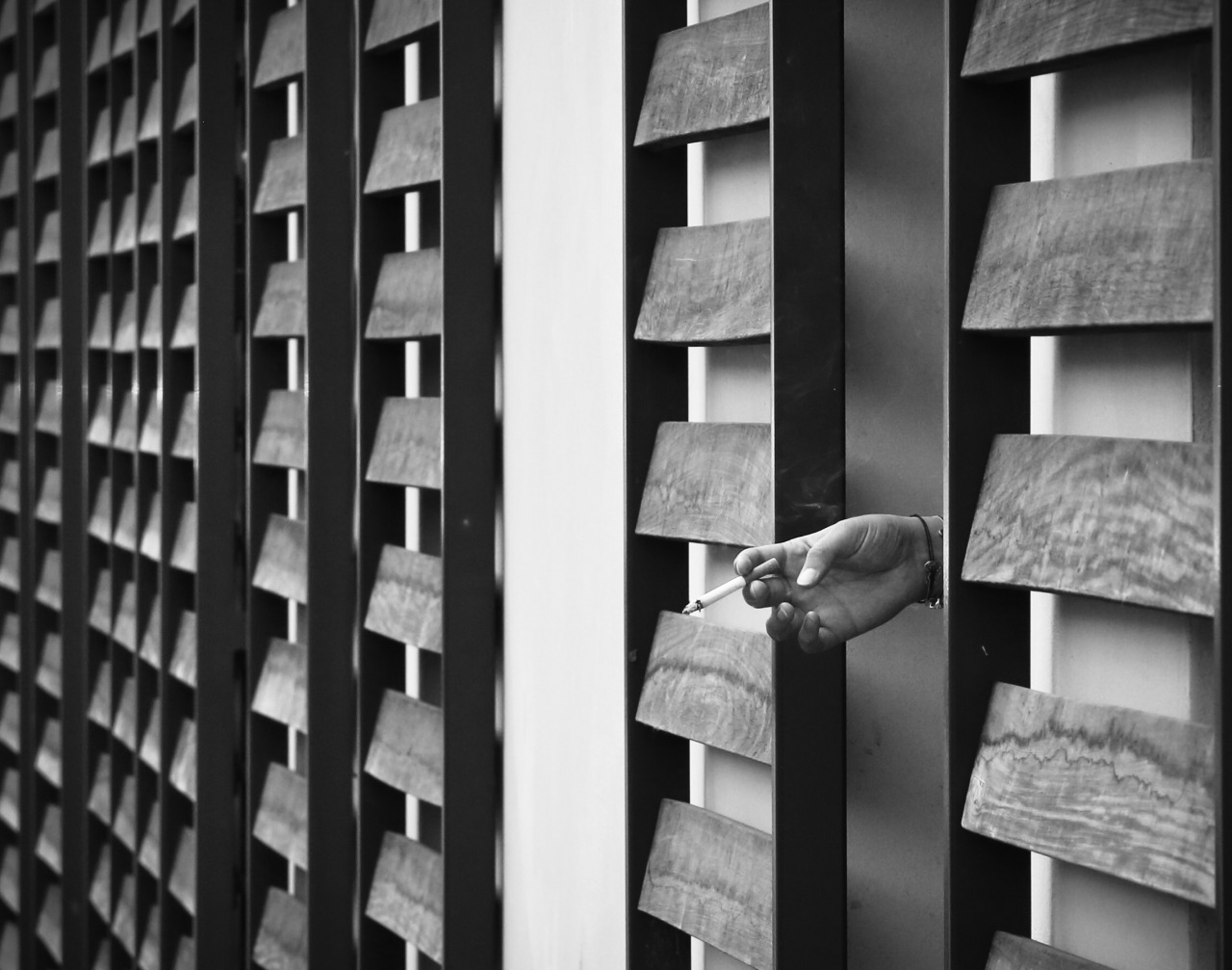 Archillect ID 227505