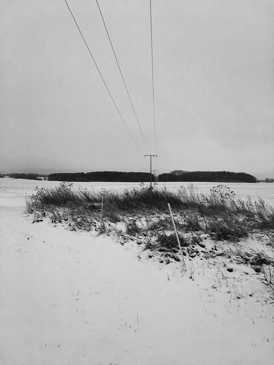 Archillect ID 227513