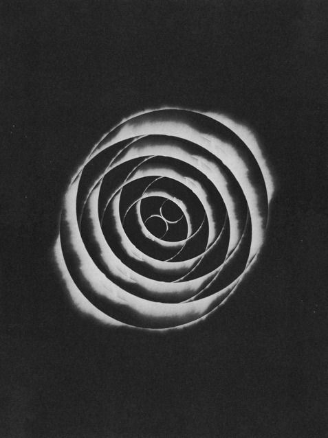 Archillect ID 227739