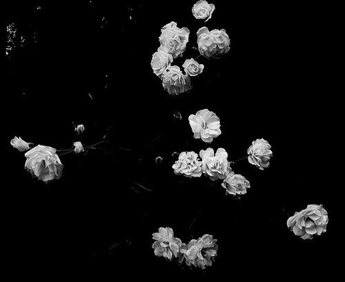 Archillect ID 227821