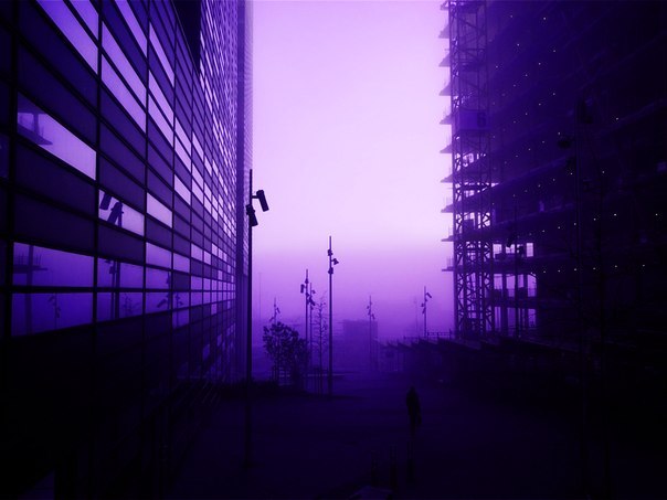 Archillect ID 227864