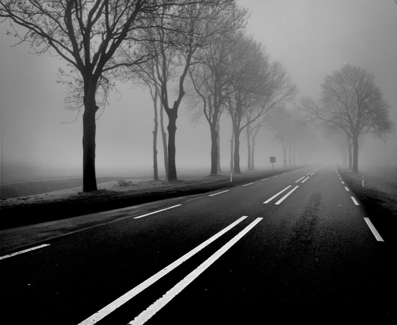 Archillect ID 227886