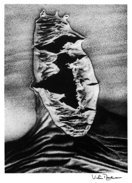 Archillect ID 228110