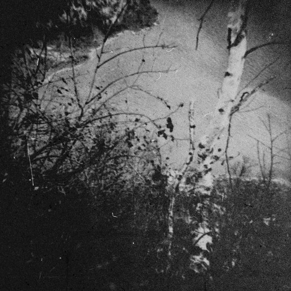 Archillect ID 228120