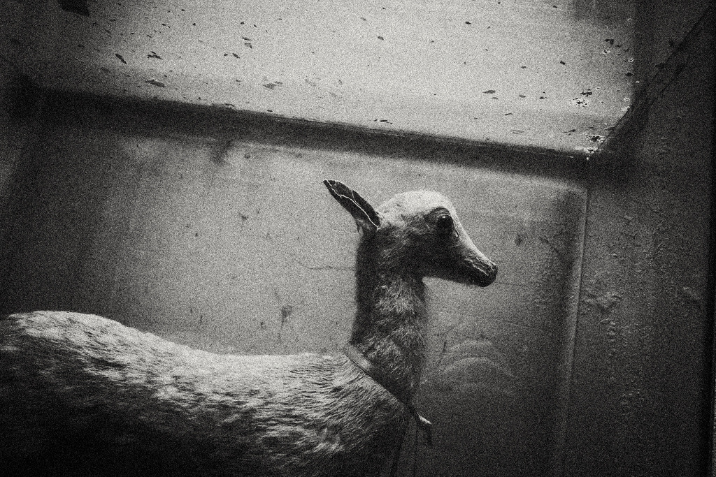 Archillect ID 228233