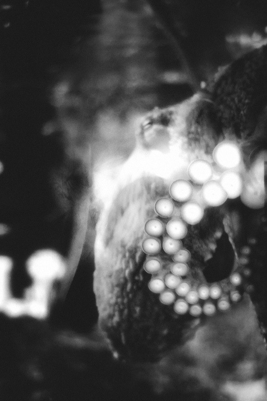 Archillect ID 228279