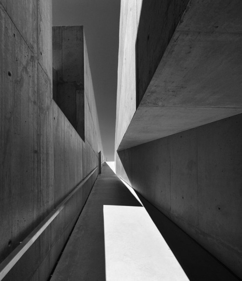 Archillect ID 228288