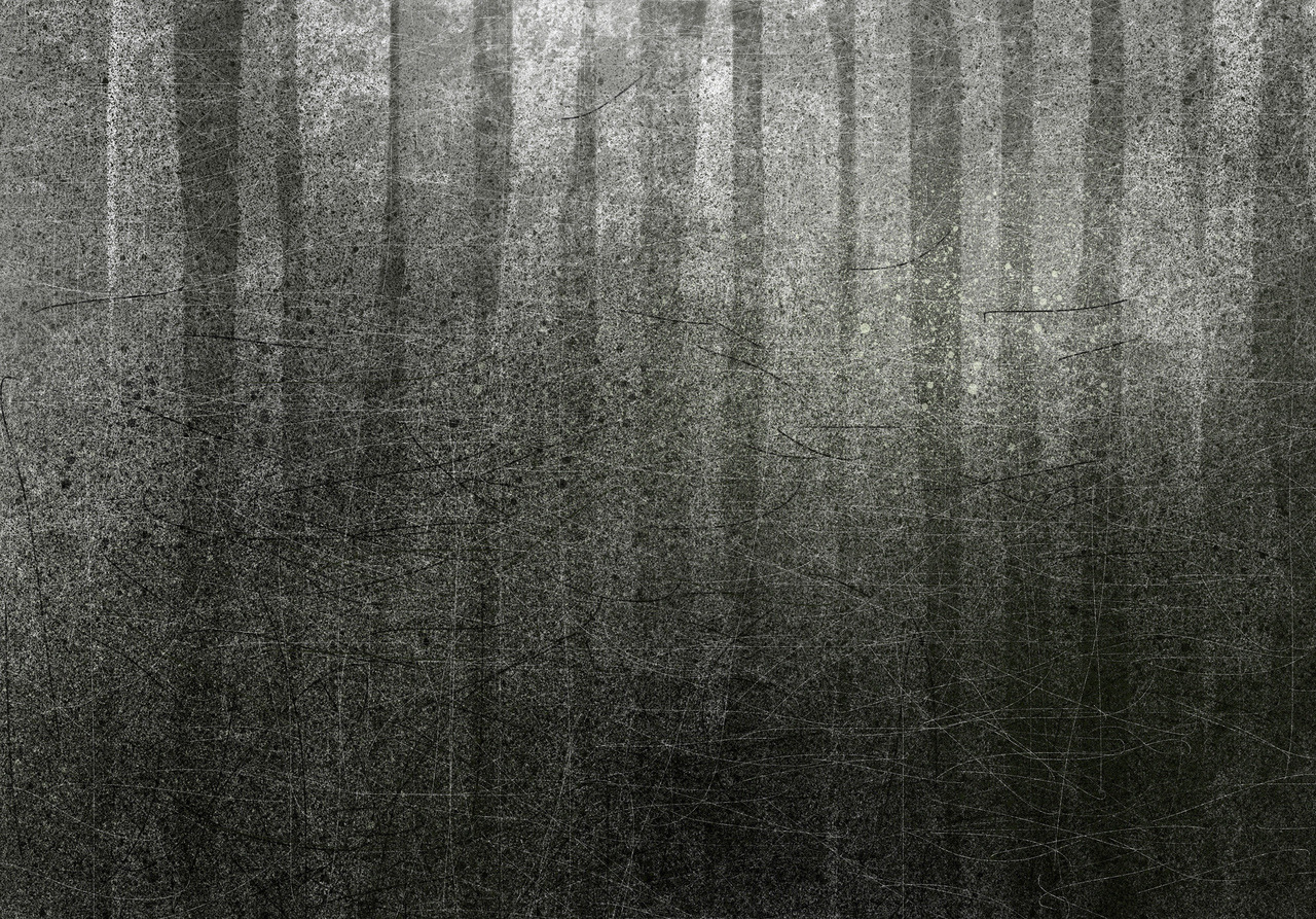 Archillect ID 228904