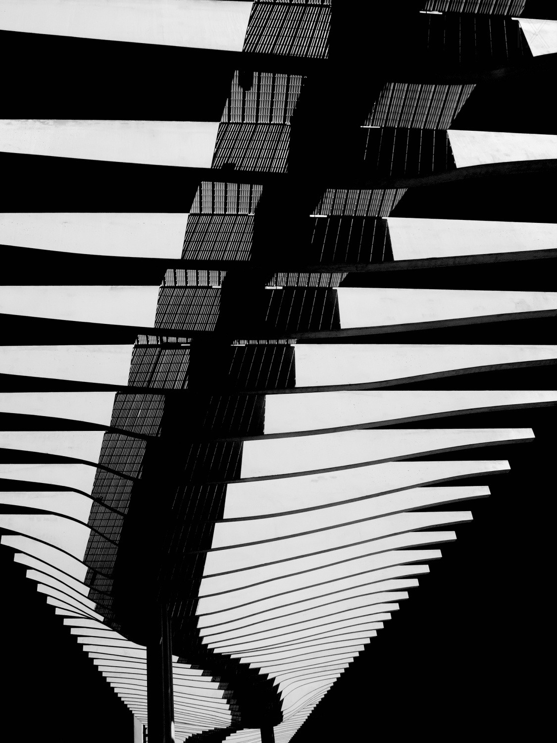 Archillect ID 228979