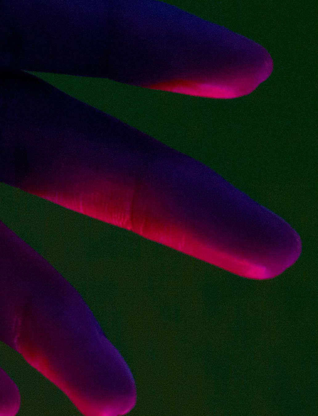Archillect ID 228984