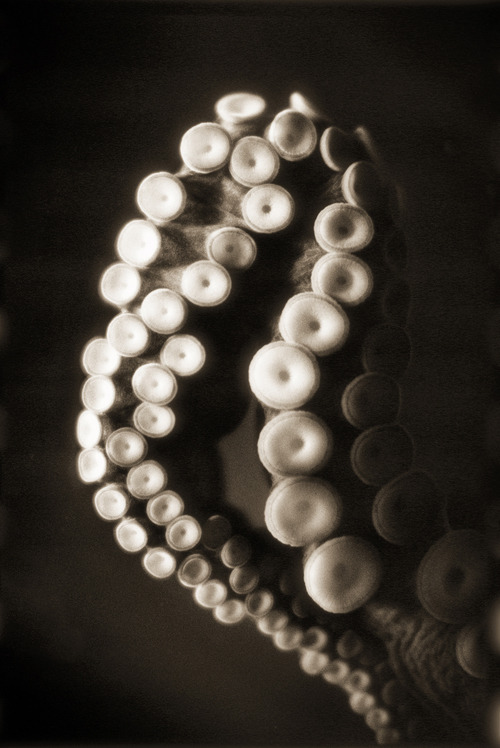Archillect ID 229064