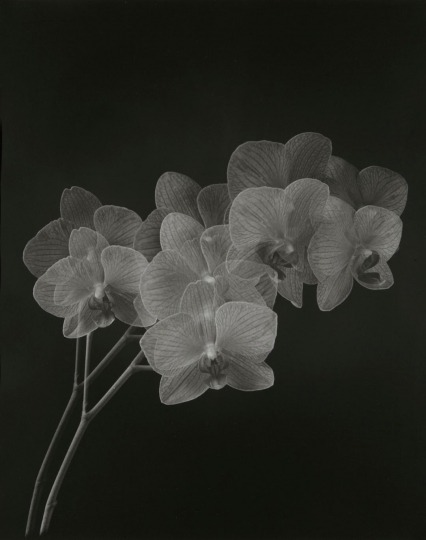 Archillect ID 229150