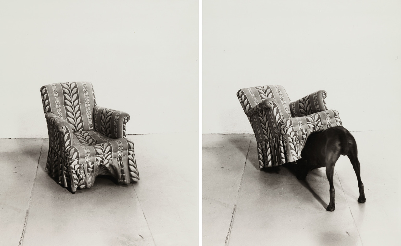 Archillect ID 229331