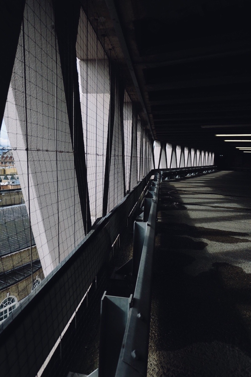 Archillect ID 229450