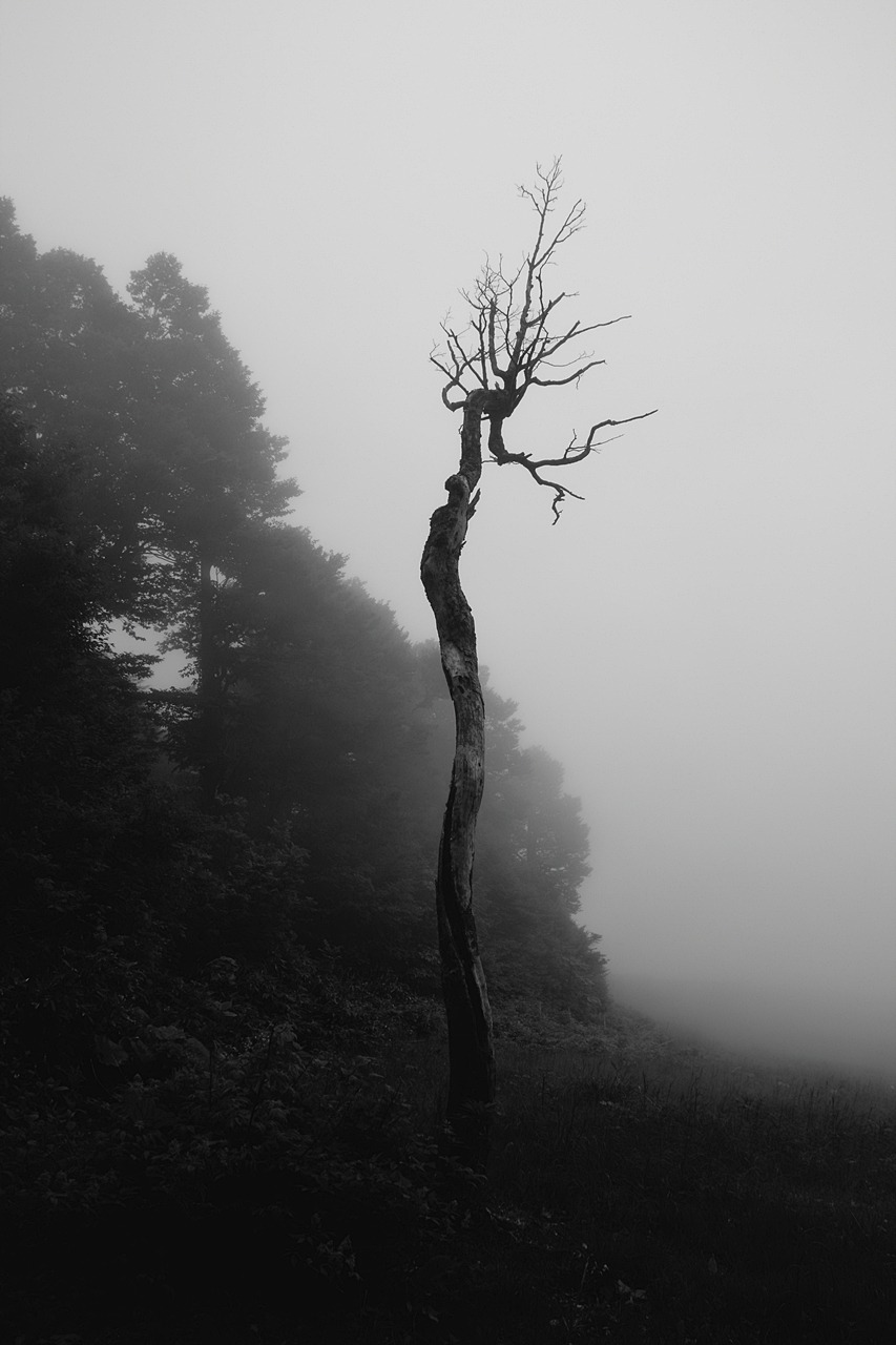 Archillect ID 229483