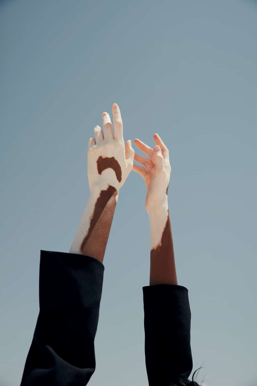 Archillect ID 229517