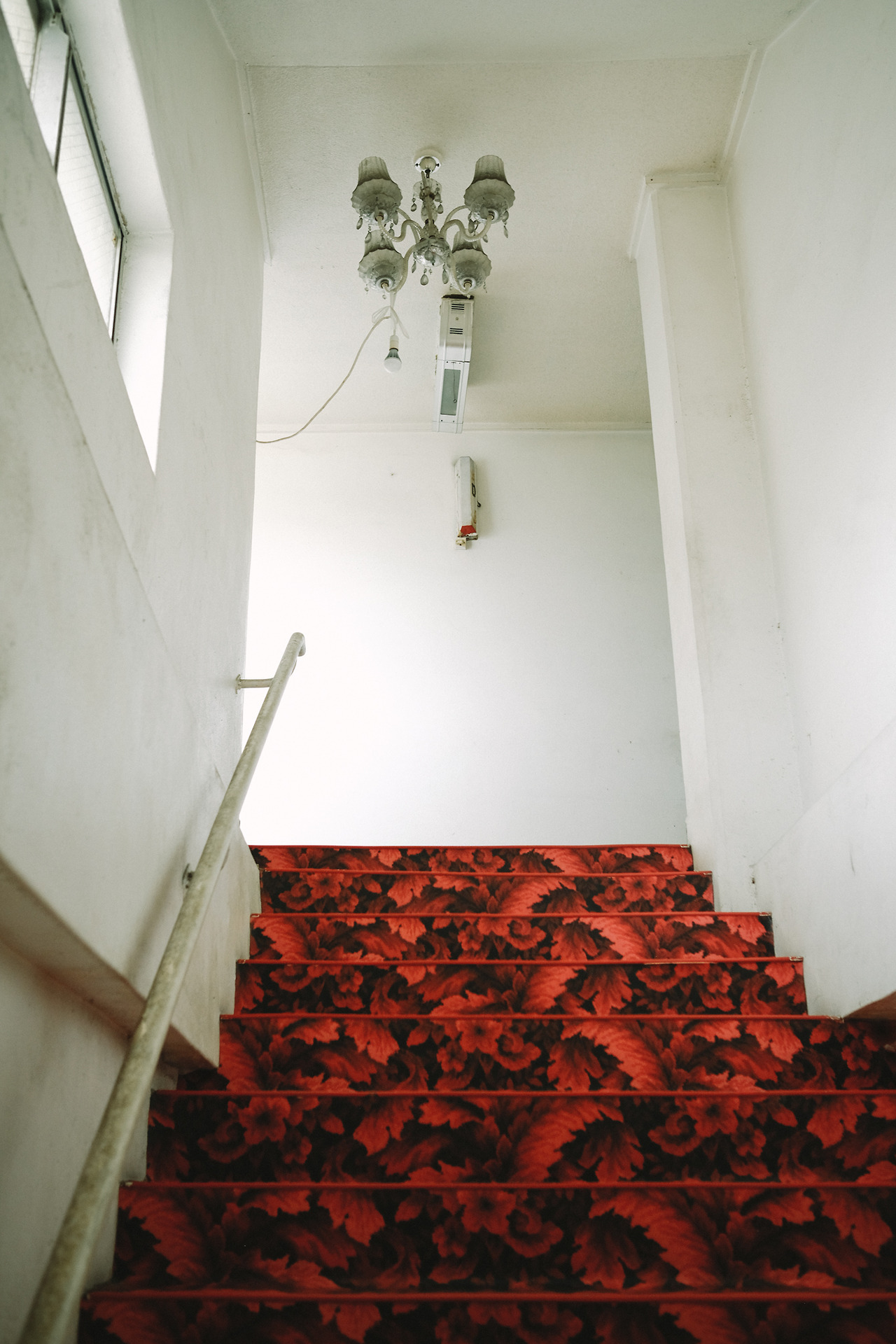 Archillect ID 229653