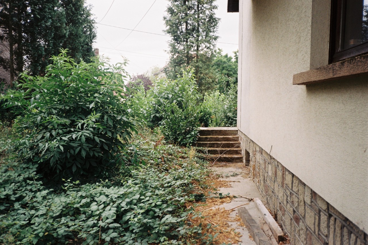 Archillect ID 229685