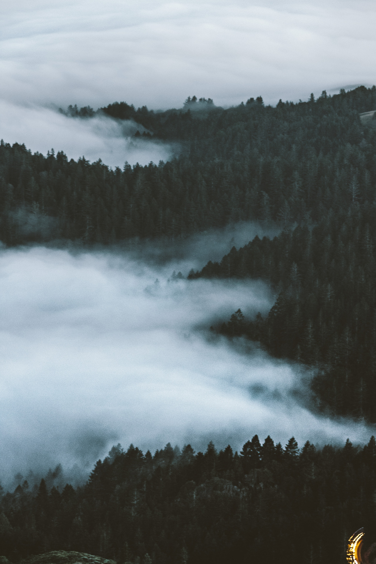 Archillect ID 229744