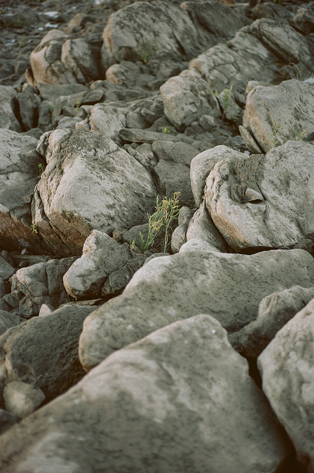 Archillect ID 229763