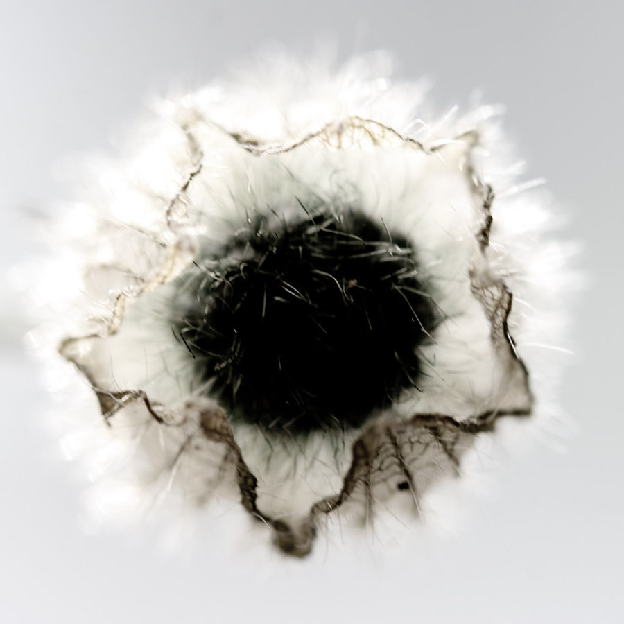 Archillect ID 229784