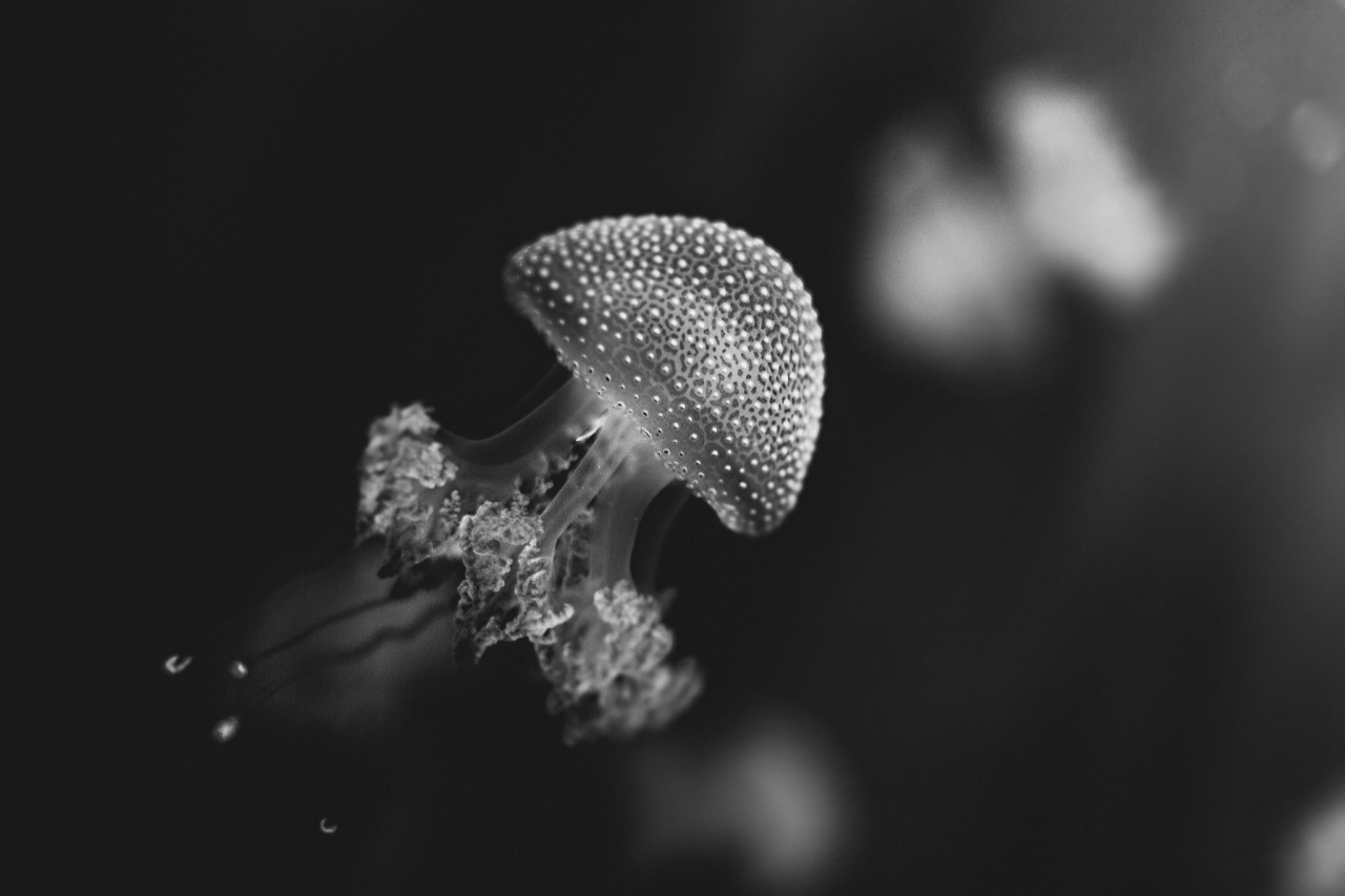 Archillect ID 230058