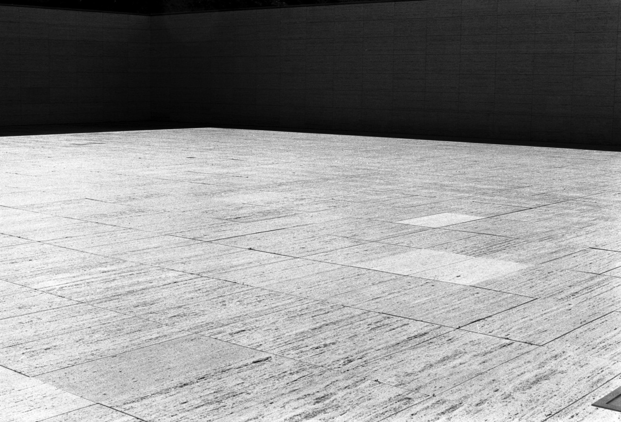 Archillect ID 230078